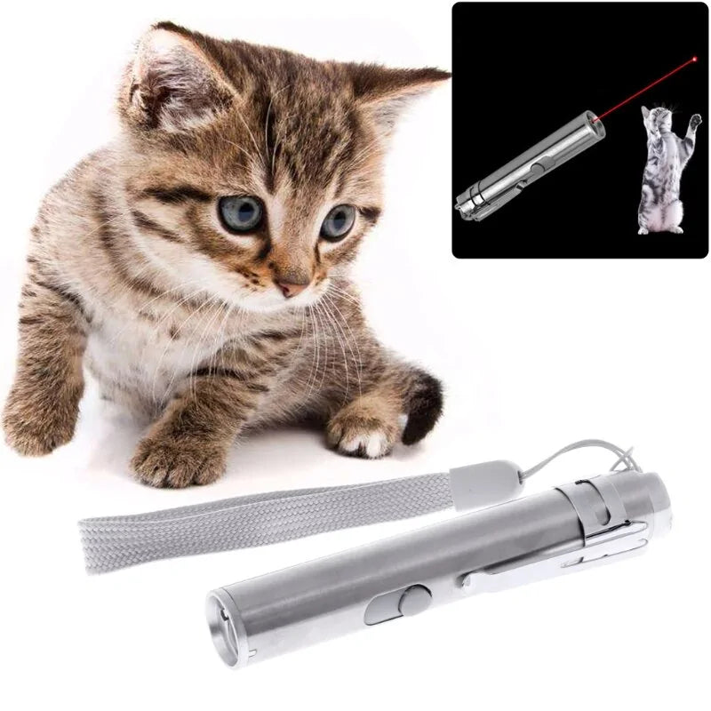 USB Rechargeable Laser Pointer