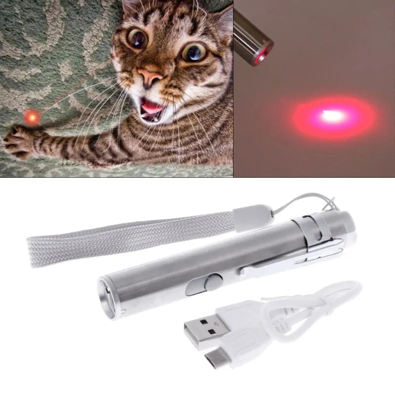 USB Rechargeable Laser Pointer