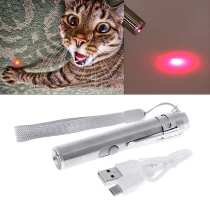 USB Rechargeable Laser Pointer