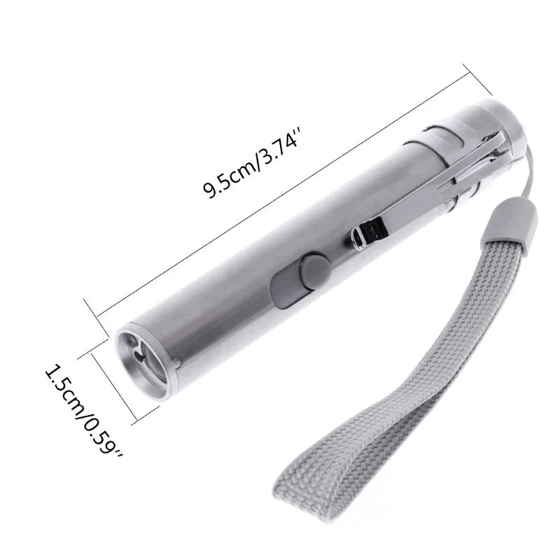 USB Rechargeable Laser Pointer